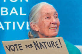 Published Writings — Per Artem Lumen