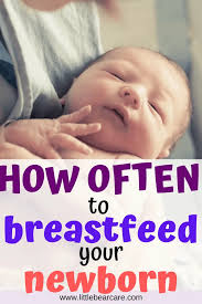How Often To Breastfeed Newborn Little Bear Care In 2020 Newborn Breastfeeding Breastfeeding Help