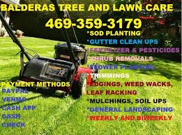 Places garland, texas home improvementpest control service brant's lawn care. Balderas Landscaping Services Home Facebook