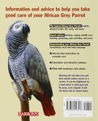 Baby African Grey Feeding Schedule African Grey Parrot