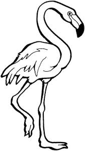 8 Incroyable Coloriage De Flamant Rose Images Coloriage Flamant Rose Dessin Flamant Rose