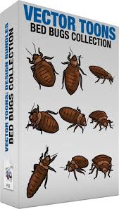 pin on vector illustrations