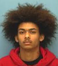 Car Burglary Suspect Arrested