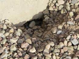 How to stop rats in garden decking. Something Is Digging Under My Garage Slab Youtube