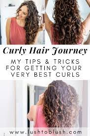 2c To 3a Curly Hair Transformation Lush To Blush Healthy Curly Hair 3a Curly Hair Curly Hair Styles