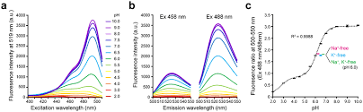 The spectral response of a detector is is. Ph Dependent Fluorescent Property Of Fitc Peg Lipid Suspended In Download Scientific Diagram