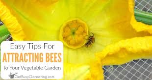We did not find results for: How To Attract Bees To Your Vegetable Garden Get Busy Gardening