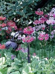 The 21 Best Flowers For Wet Soggy Soil Amazing Flowers Flowers Perennials Bog Plants