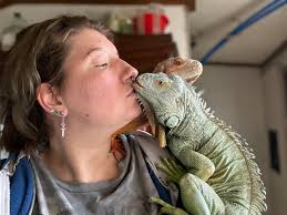 IGuaNa OWNERS (Uk) and around the world .