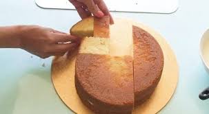 We did not find results for: How To Make An Easy Turkey Shaped Cake For Thanksgiving Thanksgiving Wonderhowto