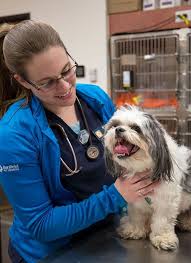 Banfield pet hospital offers quality veterinary care in destin, fl. Banfield Pet Hospital Office Photos Glassdoor