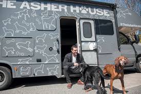 the asher house raising awareness and getting dogs adopted dogs pet waste station shelter dogs