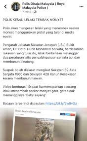 Majistret lovely natasha charles menjatuhkan hukuman itu terhadap jaferi suman, 32, yang didakwa mengikut seksyen 428 kanun keseksaan. Mohd Redzuan Abdul Manap On Twitter Polis Sedang Mengesan Lelaki Yang Menembak Seekor Monyet Menggunakan Pistol Yang Tular Di Media Sosial Suspek Melanggar Dua Peraturan Iaitu Penyalahgunaan Senjata Api Dan Membunuh Binatang