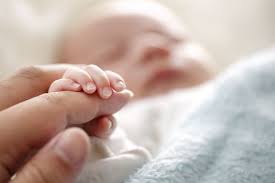 Fiebre En Bebes Que Hacer En Cada Caso