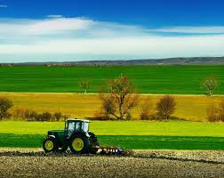 Of the different types of farm equipment and their uses, vehicles are the most important and represent the largest investment. What Are The Different Types Of Farm Tractors With Pictures