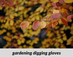 Gardening Digging Gloves 202 20180915173227 53 Garden Membrane For Weeds Garden Layou Garden Layout Planner Benefits Of Gardening Better Homes And Gardens