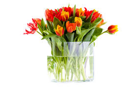 We specialise in bespoke event design, gifting, weddings and corporate. Vase Flowers Wallpaper 2560x1600 23686