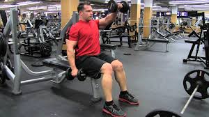 00:16 begin by sitting straight and upright with dumbbells at your side. Seated Alternating Dumbbell Front Raise Exercise Instructions And Video