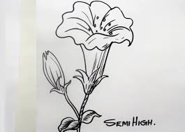 How To Draw Realistic Flower Step By Step Easy Drawing In 2020 Realistic Drawings Easy Drawings Drawings