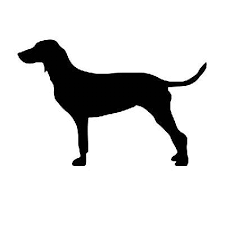 Image result for sedmihradský honič