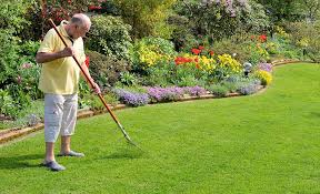 Spring lawn care maintenance is key to a great looking yard. Spring Lawn Care Tips The Home Depot