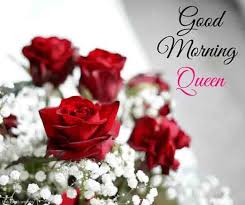 View and share our queen wallpapers post and browse other hot wallpapers, backgrounds and images. 101 Good Morning My Queen Images Best Collection Happy Rose Day Wallpaper Good Morning Angel Rose Day Wallpaper