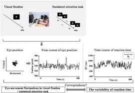 Image result for Visual Fixation