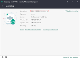 License Renewal Small Business Kaspersky