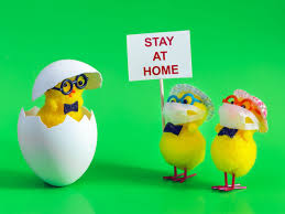We're sorry, this service is currently unavailable. 17 Brilliant Ways For The Family To Celebrate Easter During Lockdown Wales Online