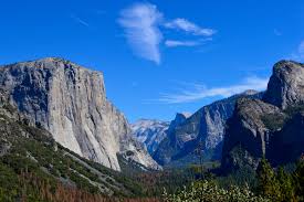 images?q=tbn:ANd9GcRWisKjhf9piB3ZYdjatVdKvOeUnDz1VVbWJQ&usqp=CAU