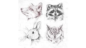 Check spelling or type a new query. Drawing Animals Is As Easy As Putting Together A Puzzle Let S Draw Today