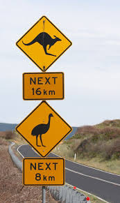 Black And White Striped Road Sign Australia Great Aussie Road Sign Australian Road Signs Australia Day Funny Road Signs