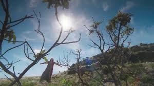 Novela estréia em 13 de março de 2018.nome da música: Conheca O Elenco De Orgulho E Paixao Youtube