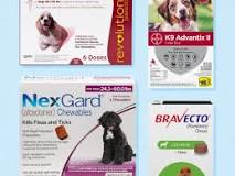 Image result