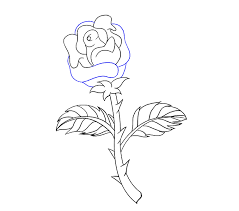 How to draw a rose with stem easy drawing guides would you like to draw a beautiful flower doing so is simple with this drawing tutorial by following the pictures of roses to draw awesome drawn vase red rose 3h vases how from drawing of a rose stem imagen de rose art and flowers tats pinterest. How To Draw A Rose In A Few Easy Steps Easy Drawing Guides