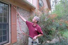Envirocare has seen it all when it comes to pest control in birmingham al. Pest Control Services In Birmingham Vulcan Termite