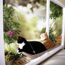 Kedi Hamak Yastigi Evi Minder Kopek Yatak Yapisan Vantuzlu Fiyatlari Ve Ozellikleri