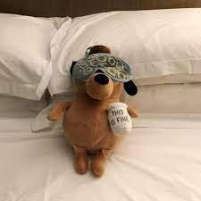 This Is Fine Plush Dog Plush Dog Mini Dogs Animal Dolls
