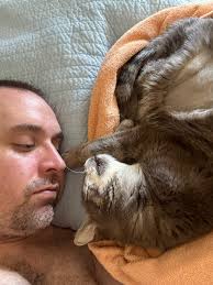 Remembering Chairman Meow, a beloved cat from Allerton street