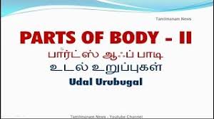 Find here online price details of companies selling scooter body parts. Vocabulary About Parts Of Body Including Tamil Meaning Part 2 Youtube