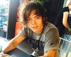 He might be bi, pan or something else, but i love him the way he is. Harry Styles Hair Through The Years 14 Pics Of His Locks Looking Seriously Luscious Capital