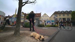 Website review of waldecker bankde. Videos Waldecker Bank Eg