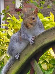 Such a poser make sure you get my good side.