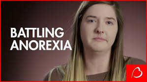 St. Bernards Great Stories