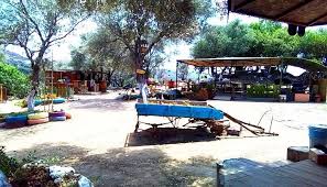 Volo Camping Bodrum Mugla Kamp Alanlari Geziyoo Co In 2020