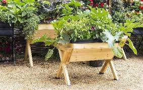 The raised bed technology should be avoided in high hills cold desert zone where cold waves may cause damage to crops. Beginner S Guide To Growing Fruit And Veg David Domoney
