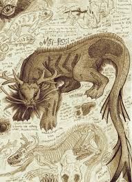 Pin On Cryptozoology