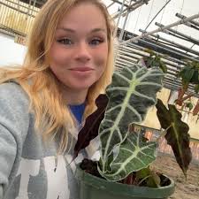 Prayer for brother's healing from demons