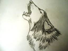 The magic of the internet. Wolf Howling How To Draw A Wolf Head Easy Novocom Top