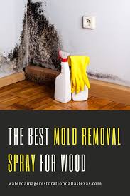 The Best Mold Removal Spray For Wood Mold Removal Spray Mold Remover How To Remove